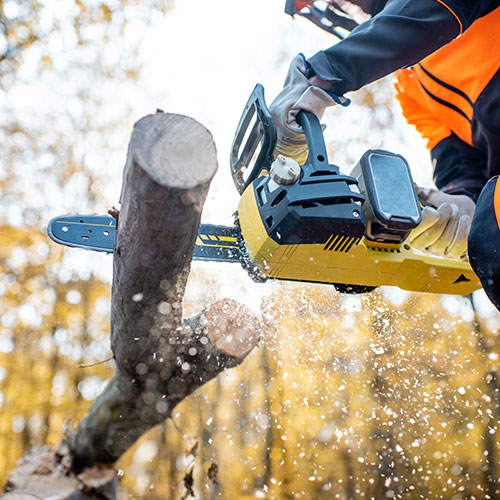 Workers Comp for Logging Temporary Staff