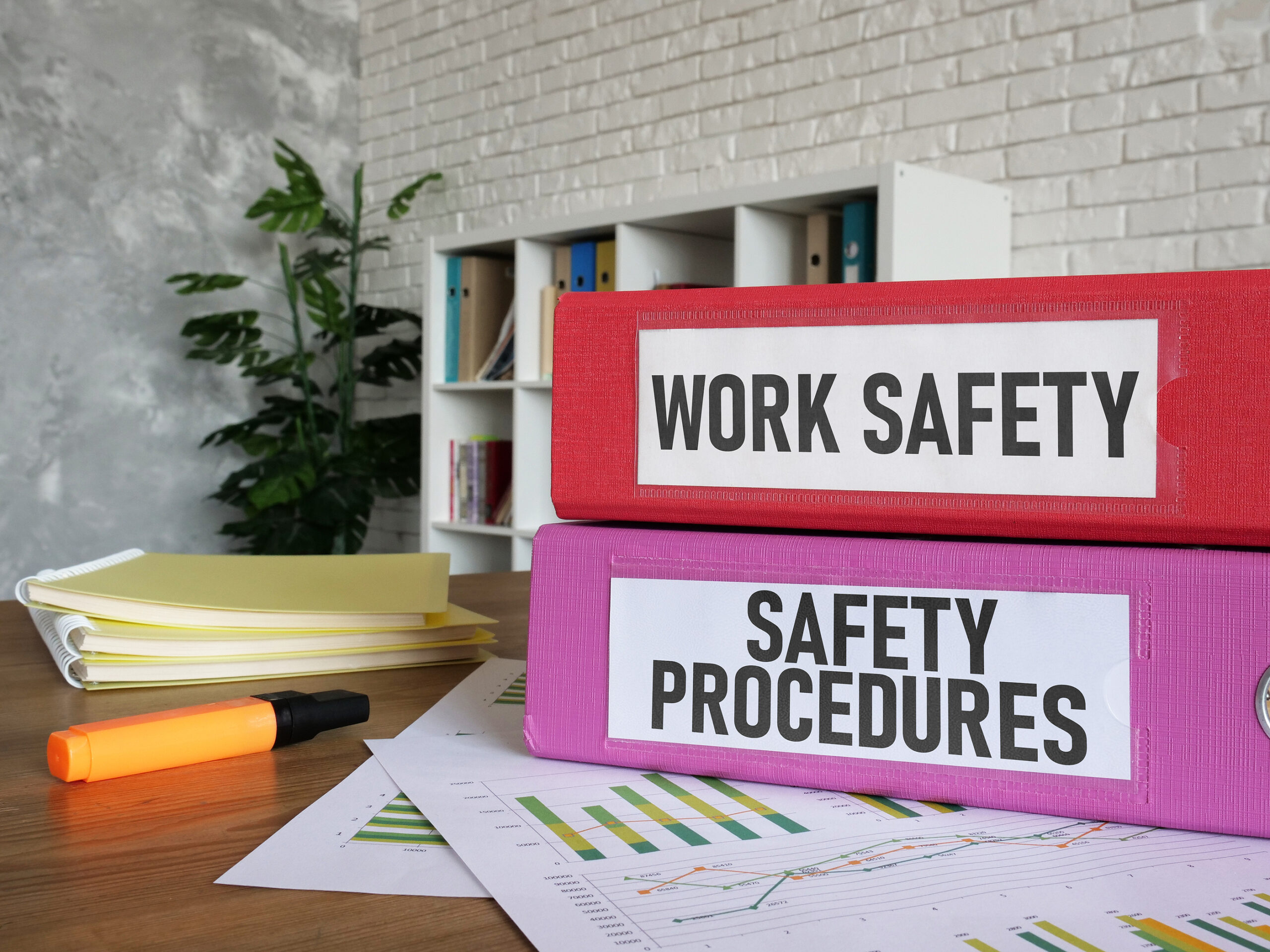 Assistance for Businesses with Previous Audit Issues