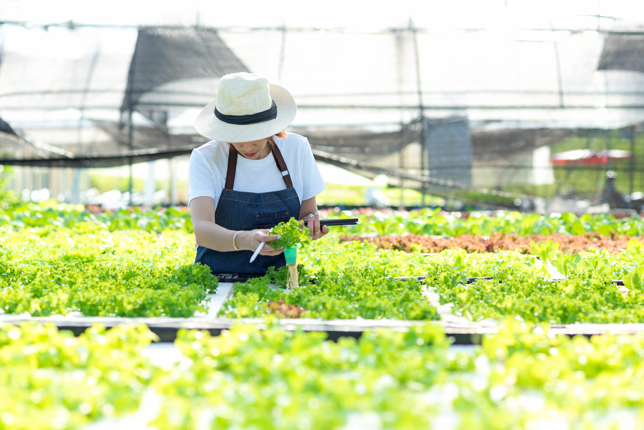 Why Your Agriculture Industry Business Needs Workers’ Compensation Coverage