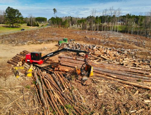 Why Your Need Workers’ Compensation at Your Logging Industry Business