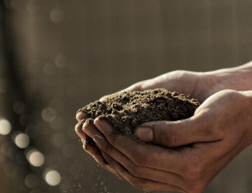 The Steps for Combating Common Exposure Risks at Your Agriculture Business
