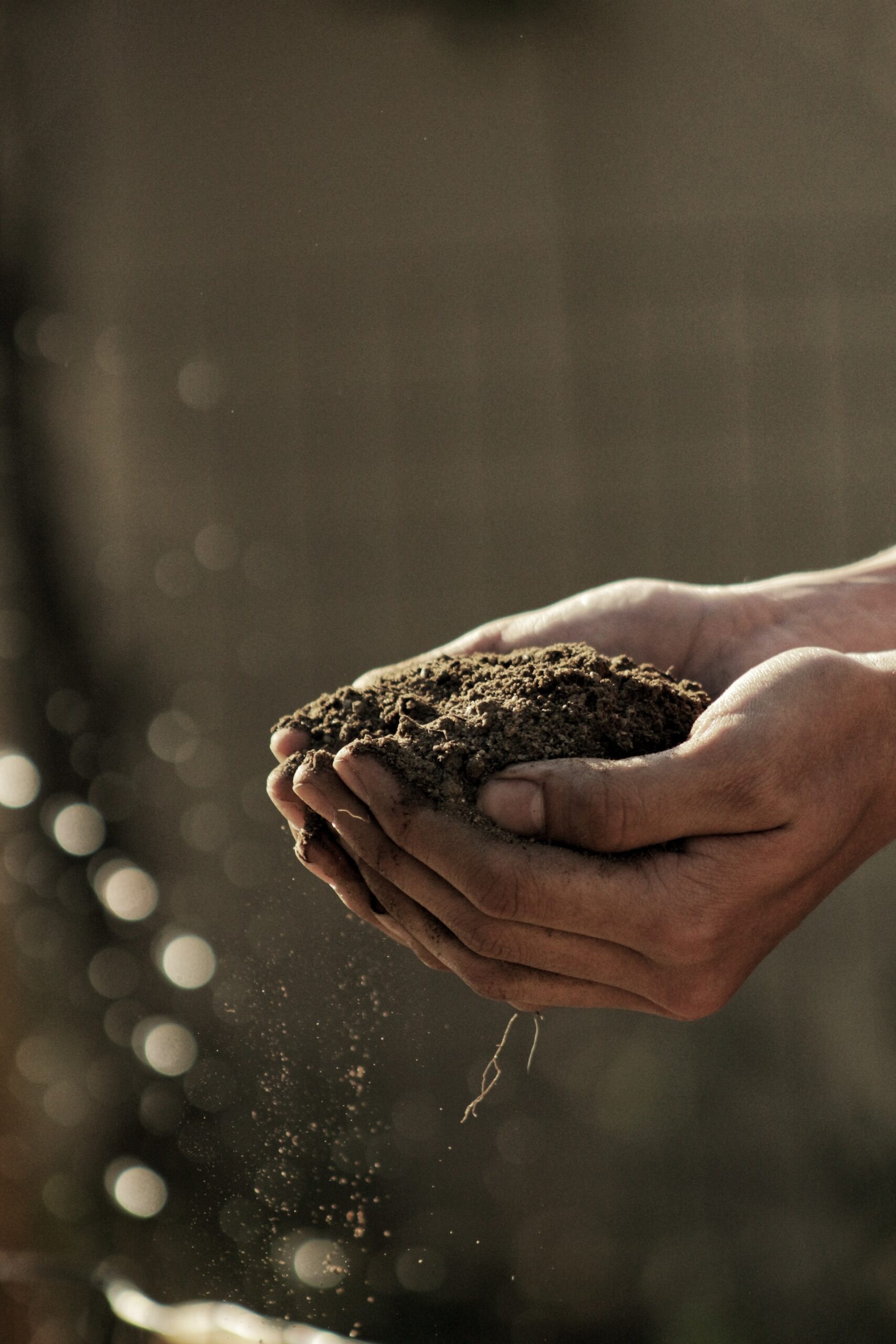 The Steps for Combating Common Exposure Risks at Your Agriculture Business
