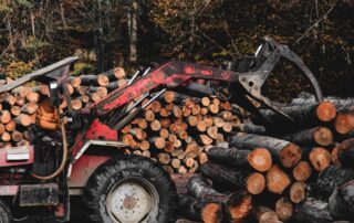 How to Navigate Chainsaws, Falling Trees, and other Risks for Temporary Workers in the Logging Industry